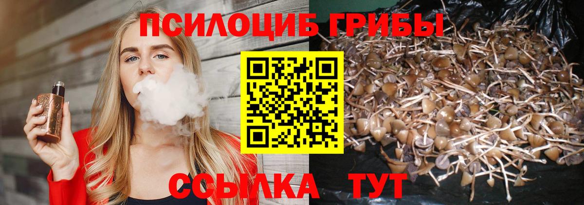 Псилоцибиновые грибы мицелий Тимашёвск