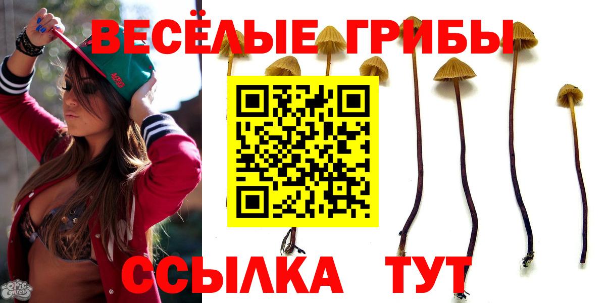 Псилоцибиновые грибы Magic Shrooms  Вход с VPN  Тимашёвск 
